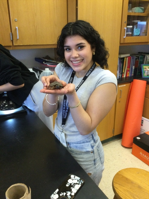 Bangor High School student with wood turtle head-start