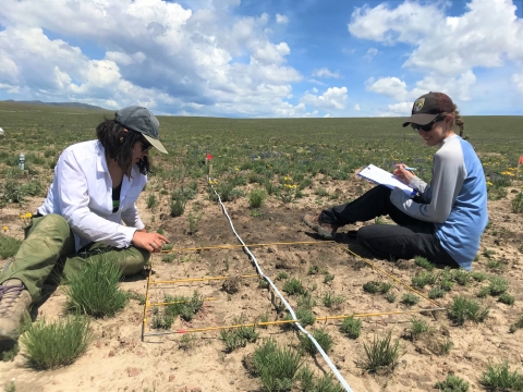 two people sit on the ground looking at plants