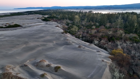 Aerial photo of green trees and sand dunes with a body of water and hills in the background at sunset