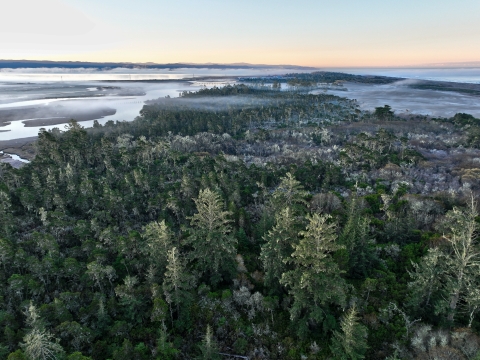 Aerial photo of green trees and sand dunes with a body of water and hills in the background at sunset