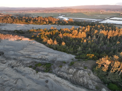 Aerial photo of green trees and sand dunes with a winding creek and hills in the background