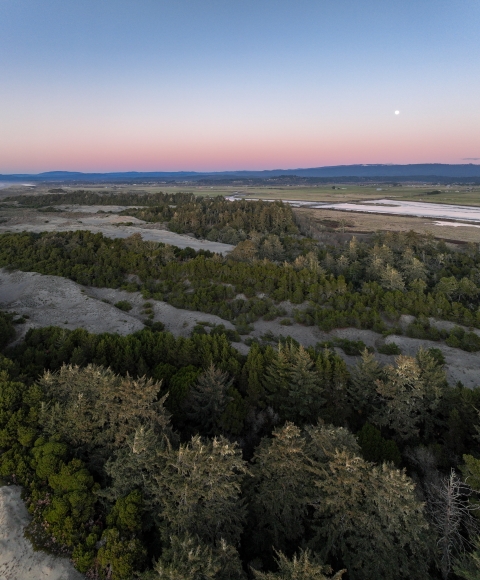 Aerial photo of green trees and sand dunes with a body of water and hills in the background at sunset