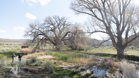 A small pond with reeds growing in the middle of it. Large trees flank the backside of the pond. Two biologists can be seen in the lower left hand corner of the image.