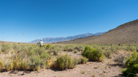 A member of the survey team stretches out a measuring tape to create a transect for surveying. In the background are barren mountains.