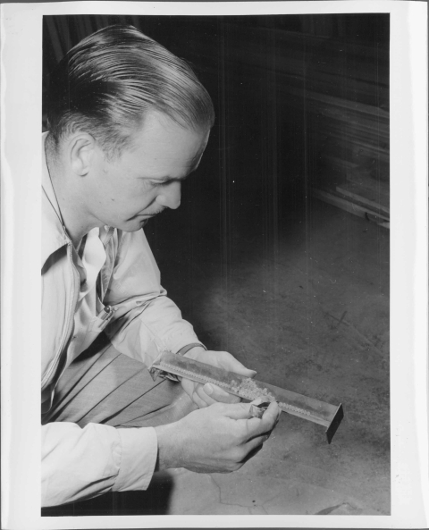 close-up of the man, crouching down, and holding in his left hand a small rectangular metal tray containing a large number of small fish eggs; he holds in his right hand a large pair of metal tweezers, which his is apparently using to sort of the eggs while he counts them.