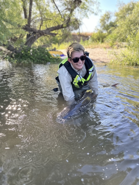 a person standing in water holding a large fish to release