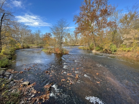 A fall scenic shot of a river with a dam in the background.