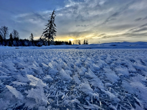 a snowy scene showing low light and huge ice crystals