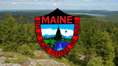 Maine Department of Inland Fisheries and Wildlife shield logo with image of mountains and lakes in the background.