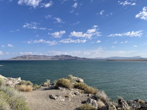 a large body of water under a blue sky with clouds
