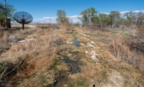 A small stream cuts through the middle of the frame. Tall grass borders the banks of the stream.