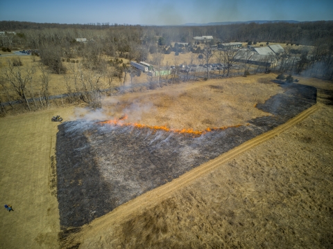 Aerial view of prescribed burn