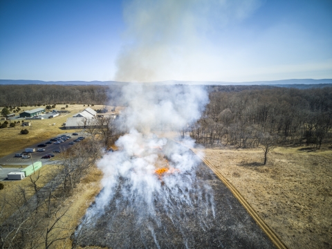 Aerial view of prescribed burn