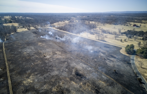 Prescribed burn at NCTC