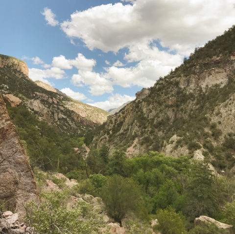 Mountains and forested area