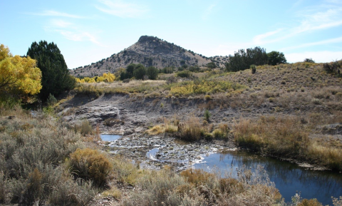A pond in a slightly grassy area