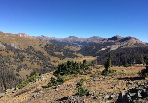 Mountains and forest landscape