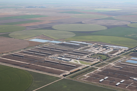 Aerial image of agricultural land