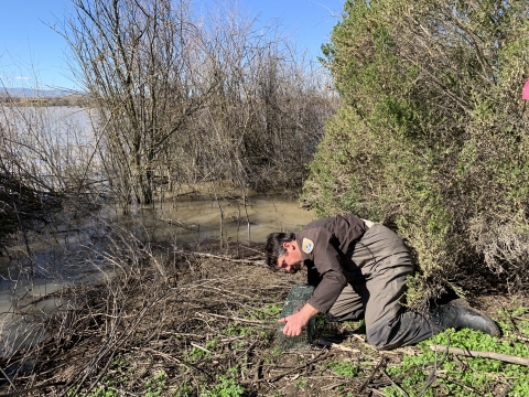 A person kneeling on the ground setting up a metal trap