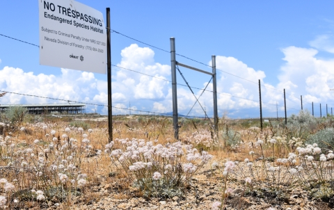 Pinkish flowers in the foreground with a fence with a sign above that reads "No trespassing, endangered species habitat