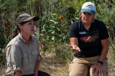 Two people talking outside with a monarch butterfly flying in between them