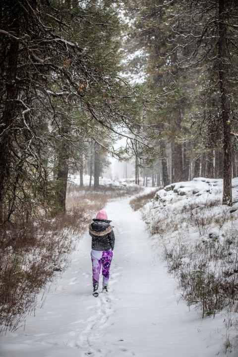 A hiker walking on a snowy trail