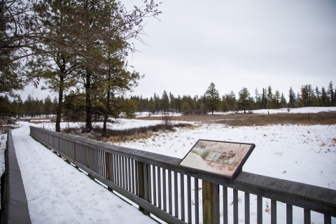 A snow covered boardwalk with interpretive sign on the handrail