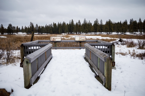 The end of a snow-covered boardwalk