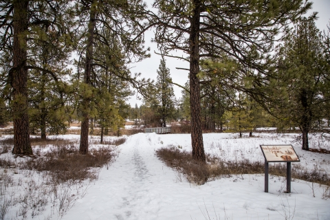 Snow covers a trail leading to a boardwalk