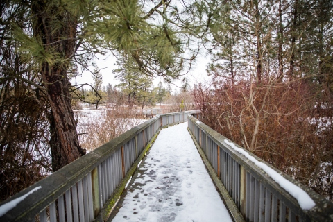 A snow covered boardwalk