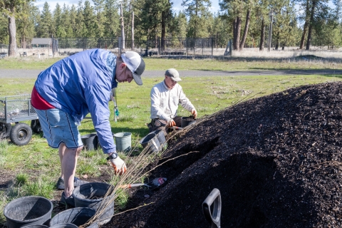 A volunteer works next to a biologist to plant trees in a nursery