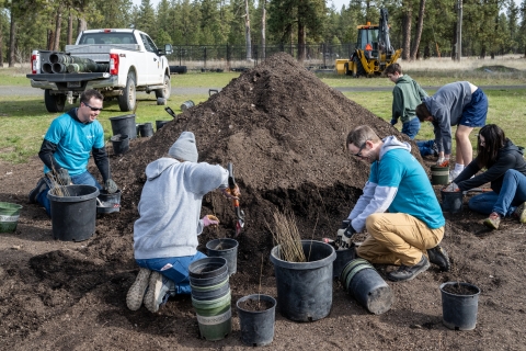 Volunteer pot trees to be used in restoration projects