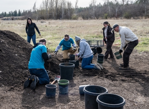 Volunteers potting trees at Turnbull NWR
