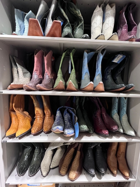 Collection of reptile skin boots