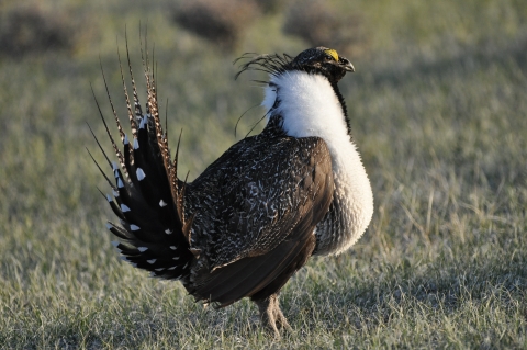 Retrieving data. Wait a few seconds and try to cut or copy again.