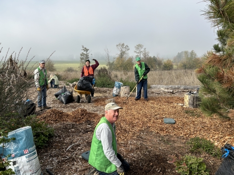 Volunteers spreading wood chips and removing invasive species.