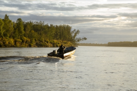 A small boat travels in the middle of a river with wooded riverbanks 