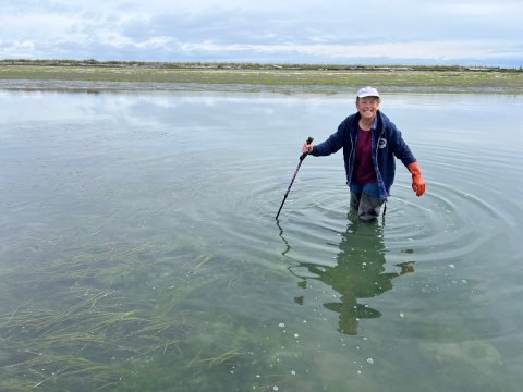 Person in water holding stick with land in the background