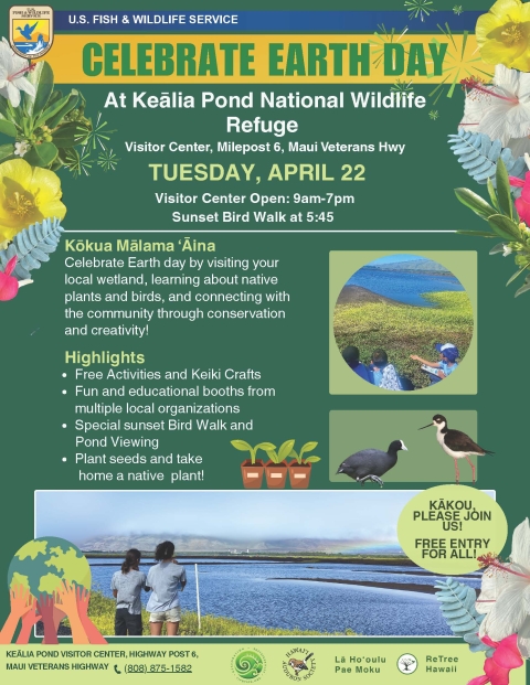 Earth Day flyer on Kealia Pond containing images of Hawaiian stilt, Hawaiian coot, wetlands of Kealia Pond and artwork of plants
