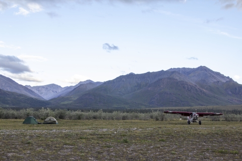 two small tents and a bush plane on a dirt airstrip with large forest covered mountains in the background. 