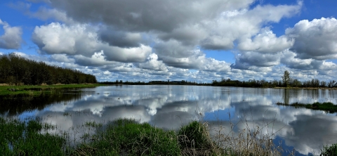 Large body of water on a semi cloudy day