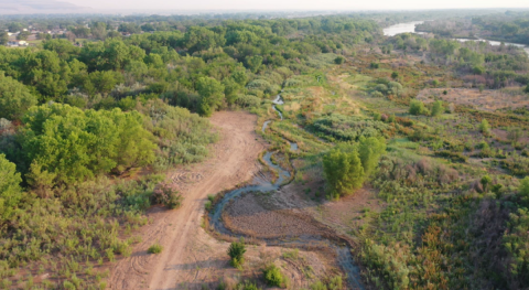 An aerial image of a narrow waterway with riparian trees around it.