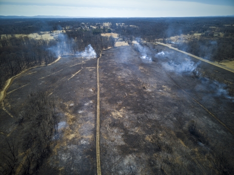 Aerial shot of a controlled burn