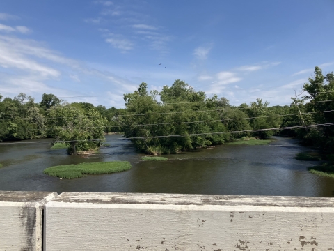 A view of the Nolichucky River. The river is peaceful, and there are two islands with trees and small patches of aquatic vegetation. 
