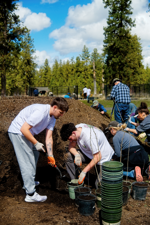 Two volunteers potting trees at a refuge