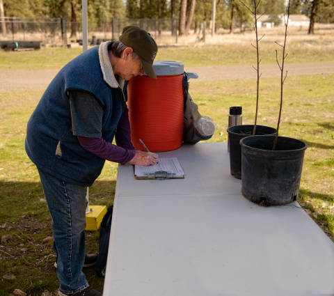 A volunteer fills out a volunteer service agreement form before helping to pot trees
