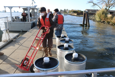 People with dollies line up large, cylindrical objects on a dock