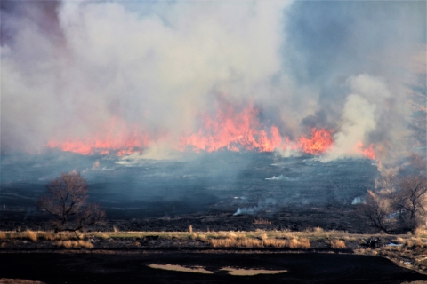 A smokey field on fire.