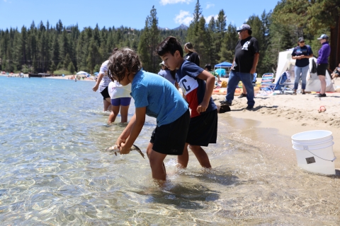 Two children work together to place a Lahontan cutthroat trout into Lake Tahoe.