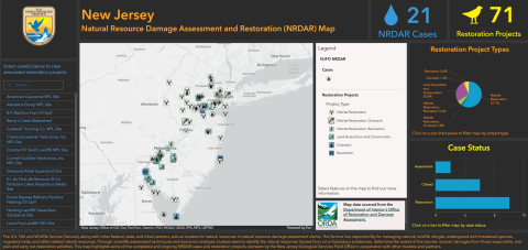 A screenshot of a dashboard displaying information about the New Jersey Natural Resource Damage Assessment and Restoration activities.